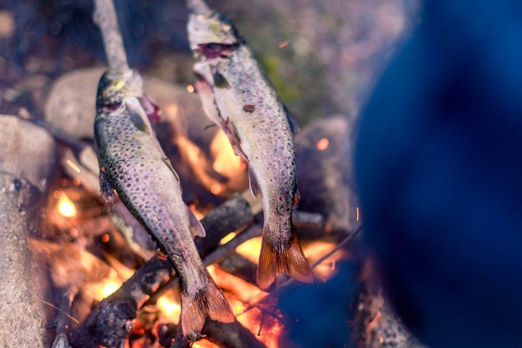 Kurkumiinin kanssa nautittavia omega-3 -rasvahappoja saat esimerkiksi kalasta